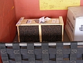 Bees waiting for pickup