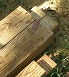 Notches were made at both ends.