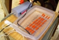 Capacitors Emersed in Mineral Oil